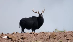 Humo negro en alcantarillas del Polígono La Red out-0-184