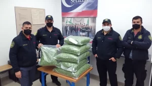 Aduanas de Sevilla interceptan 6,5 kilos de cannabis de Tailandia out-0-494