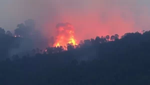 Incendio forestal cerca de Lora del Río afecta paraje natural out-0-668