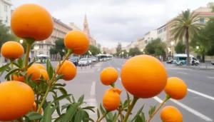 Aviso naranja por altas temperaturas en Sevilla hasta el viernes out-0-792