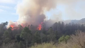 Incendio forestal en Castilblanco de los Arroyos declarado out-0-838