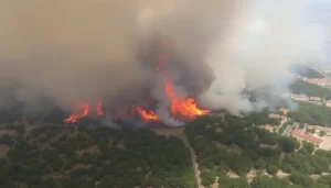 Riesgo creciente de incendios forestales en Sevilla hasta el 26 de junio out-0-939